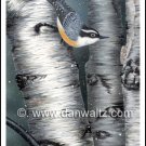 Red Breasted Nuthatch Print