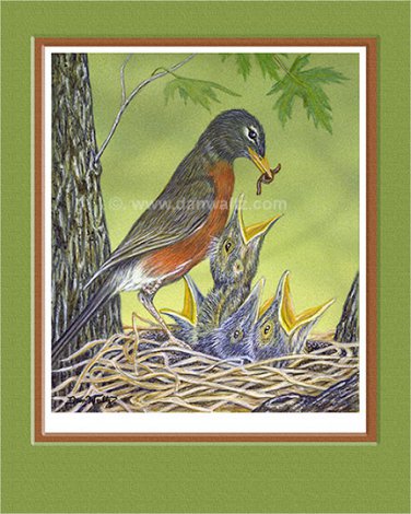 Robin Print
