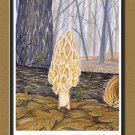 Morel Mushroom Print