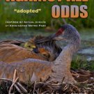 Against All Odds