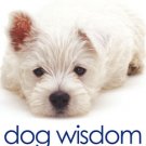 Dog Wisdom Cards
