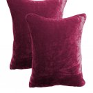 20 by 30 INCHES - 100% COTTON VELVET PILLOW COVERS FOR BEDROOM GRAPES