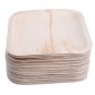 Palm Leaf Disposable Square Plates-Value Pack-Eco Friendly- 10 inches - 25 PCS