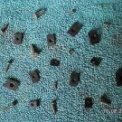 NASH RAMBLER 170 PIECE U-CLIPS AND SCREWST