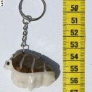 Hand Carved Key Chain, Brown Land Turtle, Tagua Keyring