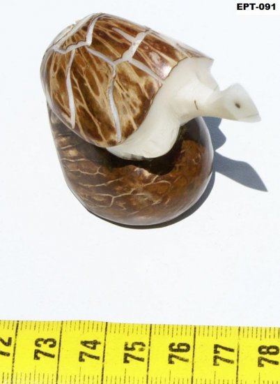 Hand Carved Tagua Figurine Reptile Turtle, Art Ecuador