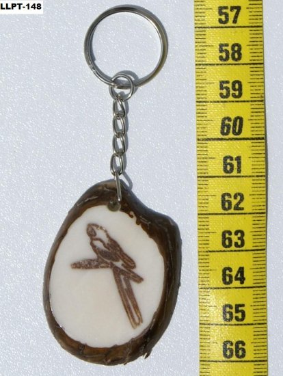 Flat Tagua Nut Keyring Bird Parrot Picture, Art Ecuador