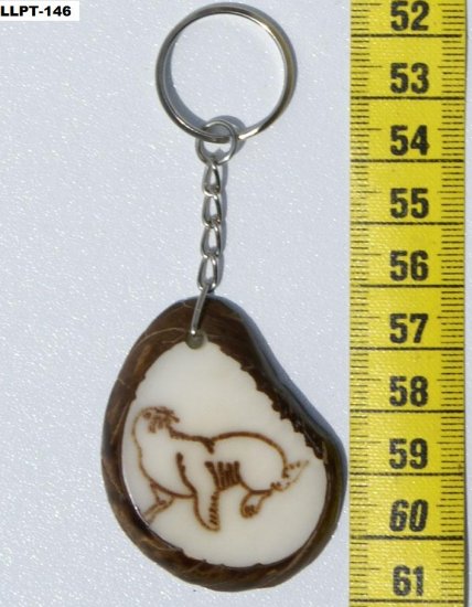 Key Chain Sea Lion Picture, Hand Painted Ecuadorian Art