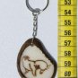 Key Chain Sea Lion Picture, Hand Painted Ecuadorian Art