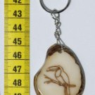 Toucan Keyring, Tropical Bird Art, Tagua Nut Keychain