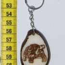 Galapagos Land Turtle on Tagua Nut Keyring, Art Ecuador