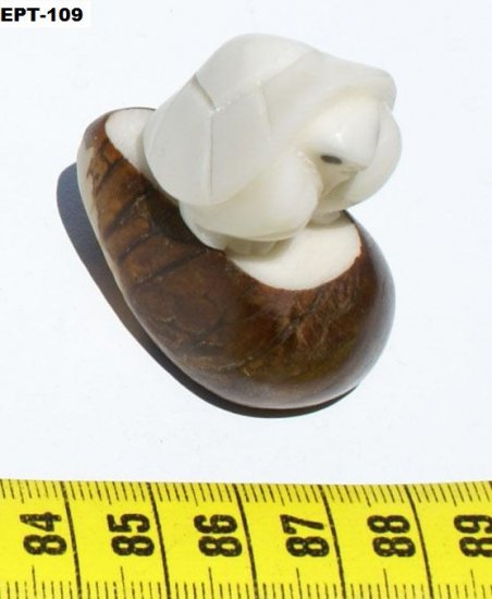 Handmade Tagua Carved Figurine White Turtle Art Ecuador