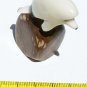 Hand Carving Tagua Figurine Sea Dolphin, Art Of Ecuador