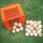 Bolas para practicar