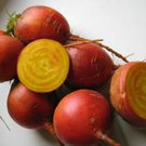Beets Touchstone Golden Orange 15 SEEDS. Combined shipping!