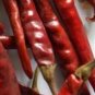 Pepper De Arbol Chili. Combined shipping! 10 Seeds.