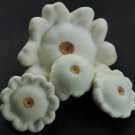 Squash Early White Scallop. 30 seeds. Combined shipping!