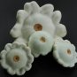 Squash Early White Scallop. 30 seeds. Combined shipping!