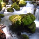 Watson Falls Spring - 5x7 - Original Fine Art Photograph