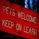 Keep em on a Leash - 8x10 - Original Fine Art Photograph