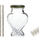Water Disinfectant Generator Starter Kit - from The Age Of Colloidal Silver
