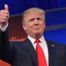Domain For Sell Donald Trump President GOP Primary www pledgefortrump dot com