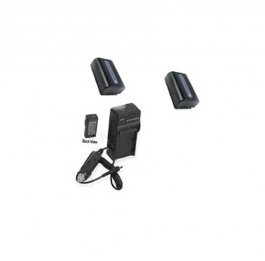 TWO 2X Batteries + Charger for Sony HDR-PJ740 HDR-PJ740VE HDR-PJ760 HDR-PJ760E
