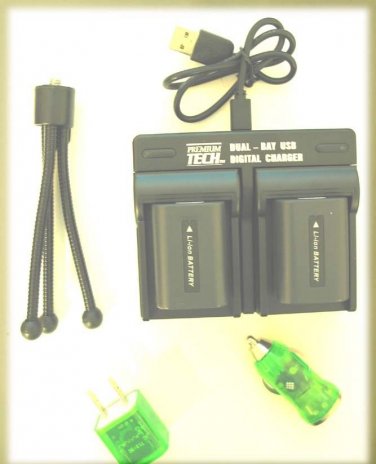 2X Batteries + Dual Bay USB Charger +Wall + Car for Sony NP-FH30 NP-FH50 NP-FH60