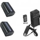 TWO 2X Batteries + Charger for Sony FDR-AX100 FDRAX100/B FDR-AX100E/B