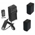 TWO 2 NP-FV100 NPFV100 Batteries +Charger for Sony SX43 SX44 SX45 SX53 SX63 SX65