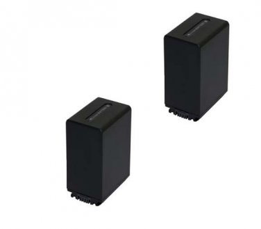 TWO 2X NP-FV100 Batteries for Sony HDR-PJ10 HDR-PJ30 HDR-PJ50 HDR-PJ200 HDRPJ260