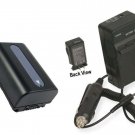 Battery + Charger for Sony HDR-CX100E HDRCX100E HDR-CX100R DSC-HX100V DSC-HX100