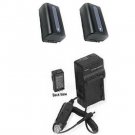 TWO 2X Batteries + Charger for Sony HDR-TD30E HDR-TD30VB HDR-TD30VE NEX-VG30EH