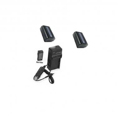 TWO 2X Batteries + Charger for Sony HDR-CX730 HDR-CX730E HDR-CX740 HDR-CX740VE