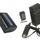 Battery+Charger for Sony DCR-SR65 DCR-SR65E DCR-SR67 DCR-SX30 DCR-SX30E DCR-SX31