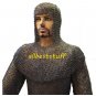 MS Flat Riveted with Flat Washer Chain Mail Shirt with Coif in 8mm LL