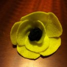 Poppy