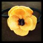Poppy
