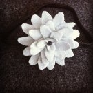 Flower #14