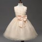Summer flower princess dress lace rose Party Wedding Birthday girls clothes princess kids dress