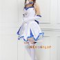 Fate/stay night Cosplay Costume Fate/Zero Saber Lily Cosplay Costume The BlueLily Dress