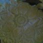 child's Afghan