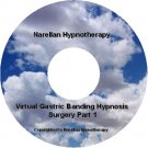 Weight Loss Virtual Gastric Banding self hypnosis 2 x CD's