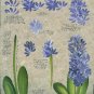 **Donna Dewberry RTG - Hyacinth and Water Lily - Tole Painting