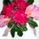 Pink Wedding Bouquets