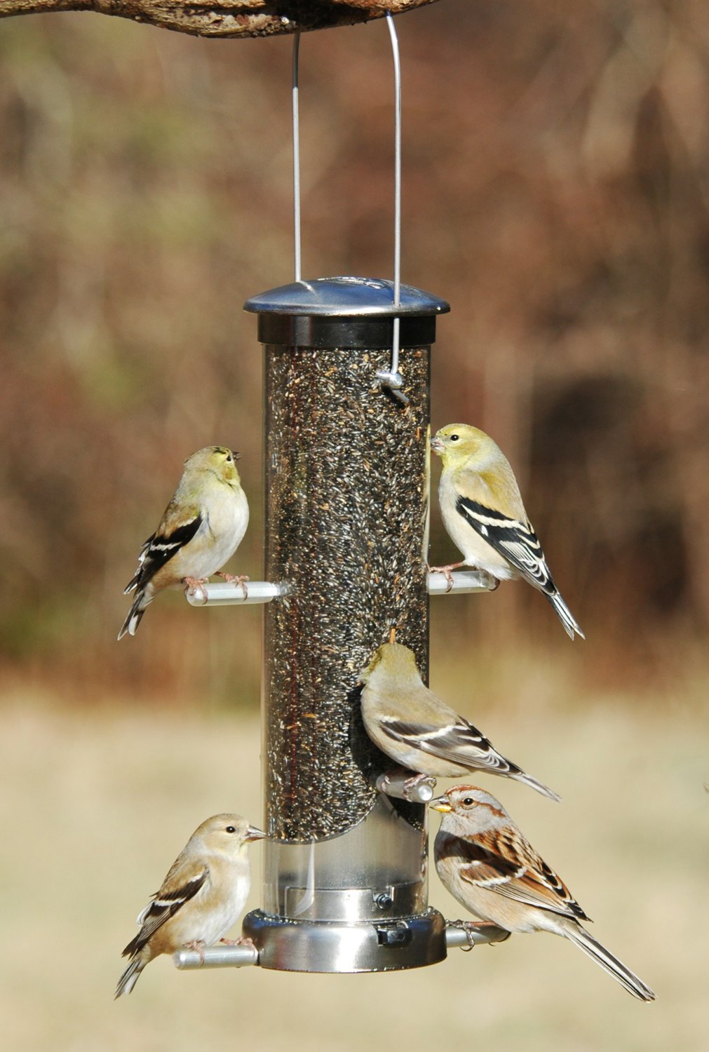 Aspects Small Brushed Nickel QuickClean Nyjer/Thistle Finch Tube Feeder