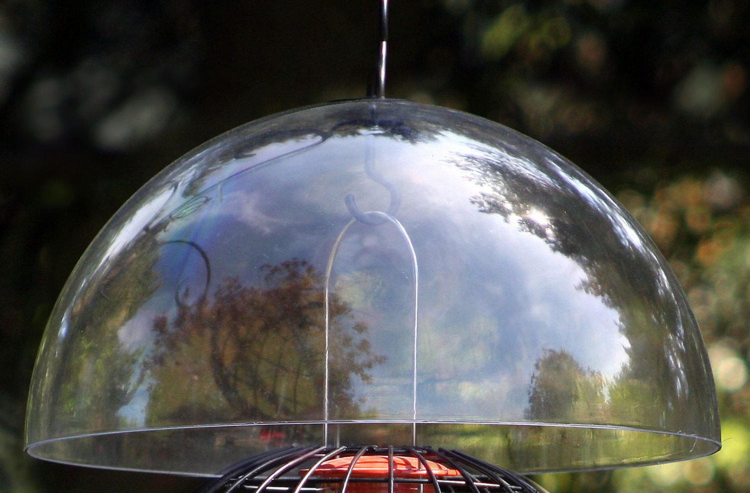 Chapelwood Squirrel Blocker And Weather Dome For Bird Feeders