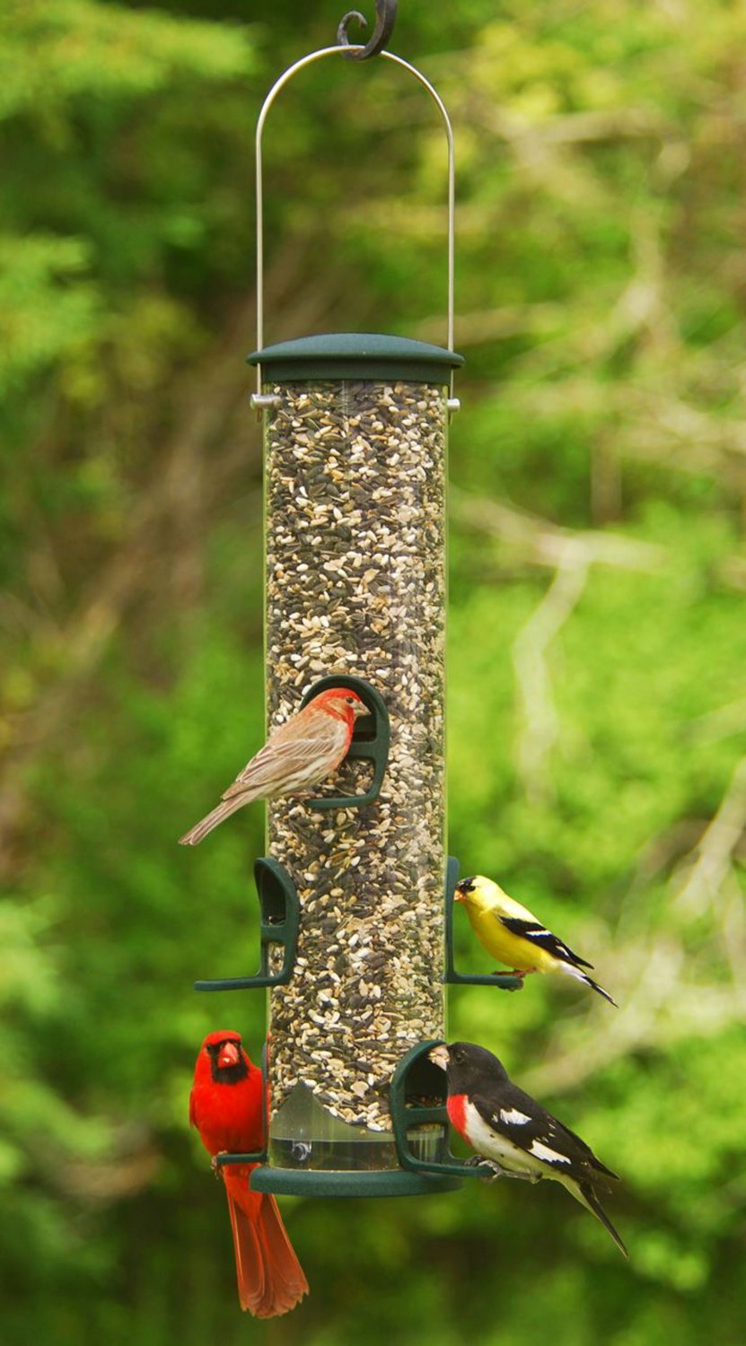 Aspects Spruce QuickClean Big Tube Bird Feeder