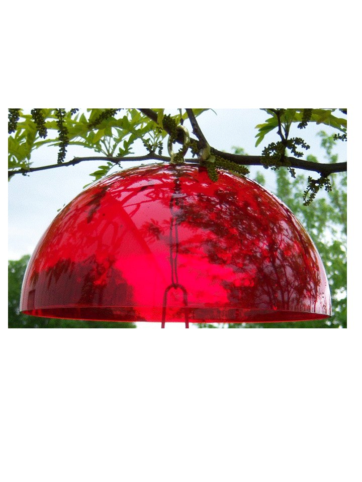 Bright Red Hummingbird Helmet Attractor & Weather Protector