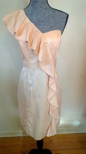 Cynthia Steffe Carita Ruffled One Shoulder Dress (Size 8) - MSRP $365.00!